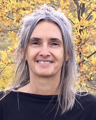 Photo of Lisa Stone, Counselor in Colorado