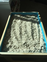 Gallery Photo of Sand Tray