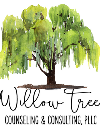 Photo of Willow Tree Counseling & Consulting PLLC, Licensed Professional Counselor in 78130, TX
