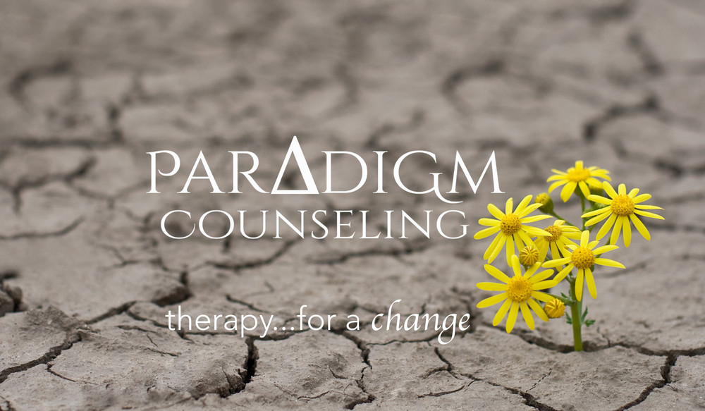 Paradigm Counseling is focused on shifting paradigms around the healing work with individuals & families impacted by domestic abuse & family violence.