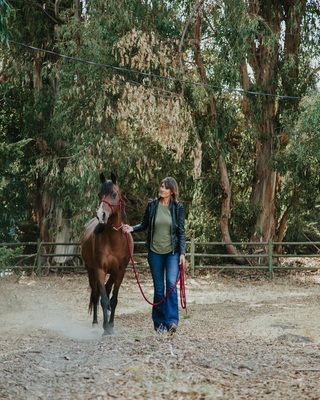 Photo of The Equine Healing Collaborative, Marriage & Family Therapist in Pacific Grove, CA