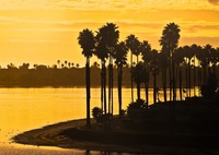 Gallery Photo of Walking Distance to Beautiful Mission Bay