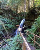 Gallery Photo of Outdoor recreational outing to local waterfall.