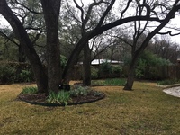 Gallery Photo of Grounds outside Office