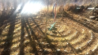 Gallery Photo of Labyrinth Walking Meditation in office yard