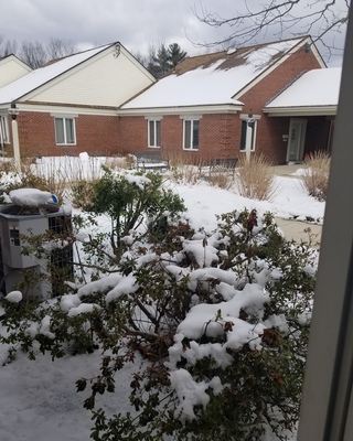 Photo of The Rested Mind LLC, Treatment Center in Vermont