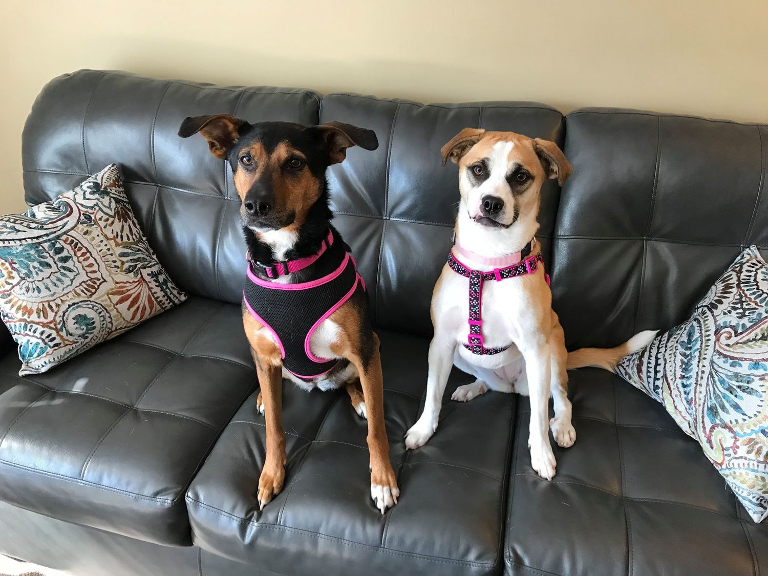 Stephanie Weatherstone, Clinical Social Work/Therapist, Knoxville, TN