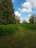 Gallery Photo of Nature therapy site in Langley prior to Covid-19