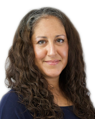 Photo of Sheerine Bazargani, Licensed Professional Counselor in Illinois