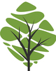 The Woodlands Behavioral Health and Wellness