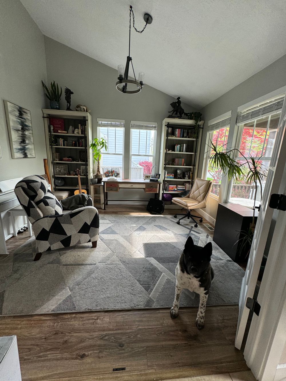 Therapy Dog optional 