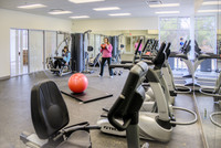 Gallery Photo of Our gym includes a full equipped fitness room where clients can workout.