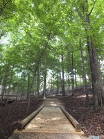 Gallery Photo of Walking Trails.