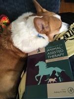 Gallery Photo of Oblio, my retired therapy dog, brushing up on the basics.