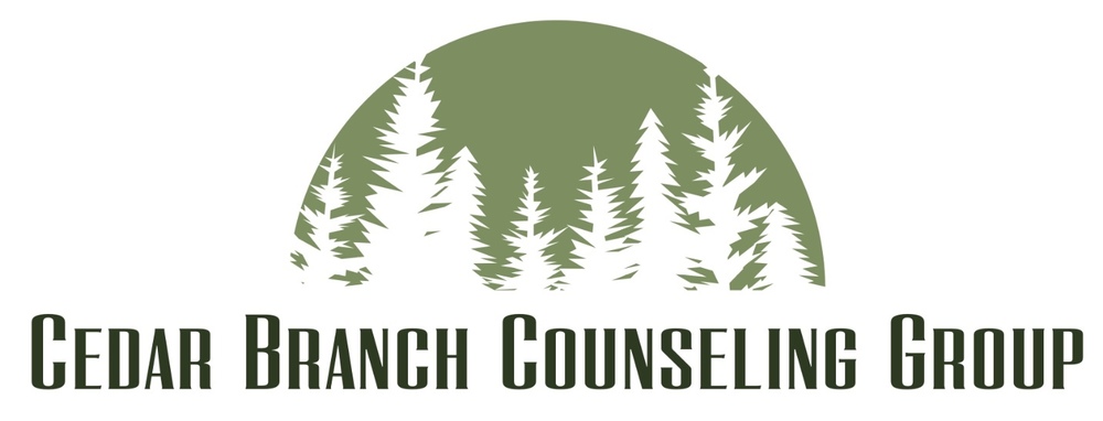Cedar Branch Counseling Group, PLLC - Psychology Today — Marriage & Family Therapy clinic in International Falls, MN — photo 2