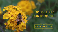 Gallery Photo of Joy is your birthright.