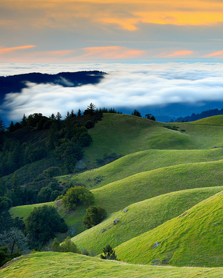 Photo of Family Matters Of Marin, Marriage & Family Therapist in Lagunitas, CA