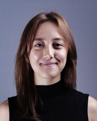 Photo of Lita Seaton, Clinical Social Work/Therapist, MSW, LSW