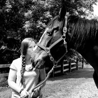 Gallery Photo of Now also offering Equine Assisted Psychotherapy with Horses.