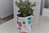 Gallery Photo of This pot cover was made by a 10 year old victim of bullying. Fabric can be drawn on, cut & pasted & all resources are provided, including plants.