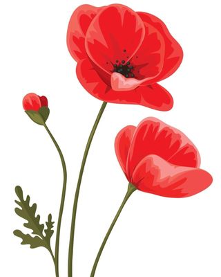 Photo of Jennifer Barth - High Plains Psychological Assessment Center, Psychologist