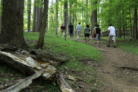 Gallery Photo of Pre-teen, teen, and young adult outpatients at Embark at Cabin John participating in therapeutic hiking. 