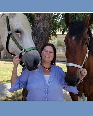 Photo of Jessica Breznak-Higgins, Licensed Professional Counselor in Mesa, AZ