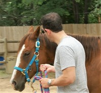 Gallery Photo of Playing around with the horses