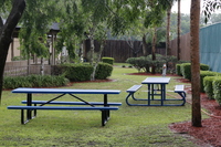 Gallery Photo of picnic area