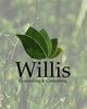 Willis Counseling and Consulting