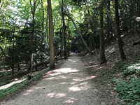 Gallery Photo of Group walks/hikes in nature