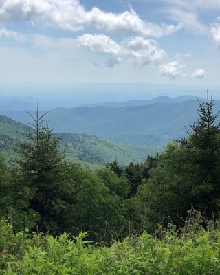 Photo of Maria MacDougall, Psychiatric Nurse Practitioner in Swannanoa, NC