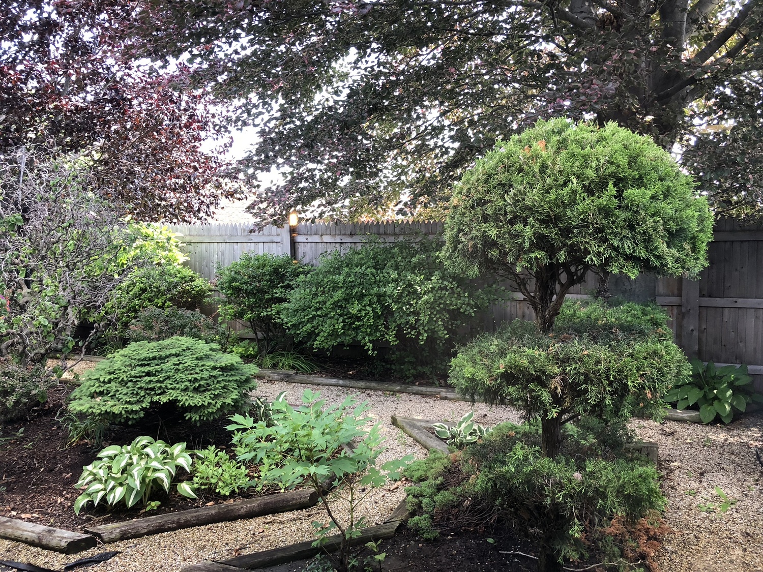 Dr. Pamela Kaczmarek Licensed Clinical Psychologist, AS, BA, MA, LPC