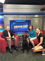 Gallery Photo of On News 12 New Jersey's show, The Pet Stop, with Dr. Brian Voynick and my dog Ford.