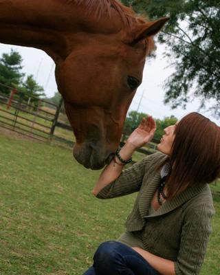 Photo of The Equine Haven LLC, Clinical Social Work/Therapist in Marysville, OH