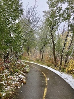 Gallery Photo of The trail system in YEG is an optimal location to combine movement and therapy!