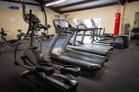 Gallery Photo of All-Men's Fitness Center designed to amplify your recovery and promote physical wellness with our high-intensity workouts.