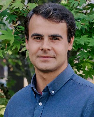Photo of Grigory Loginov, Counsellor, MA