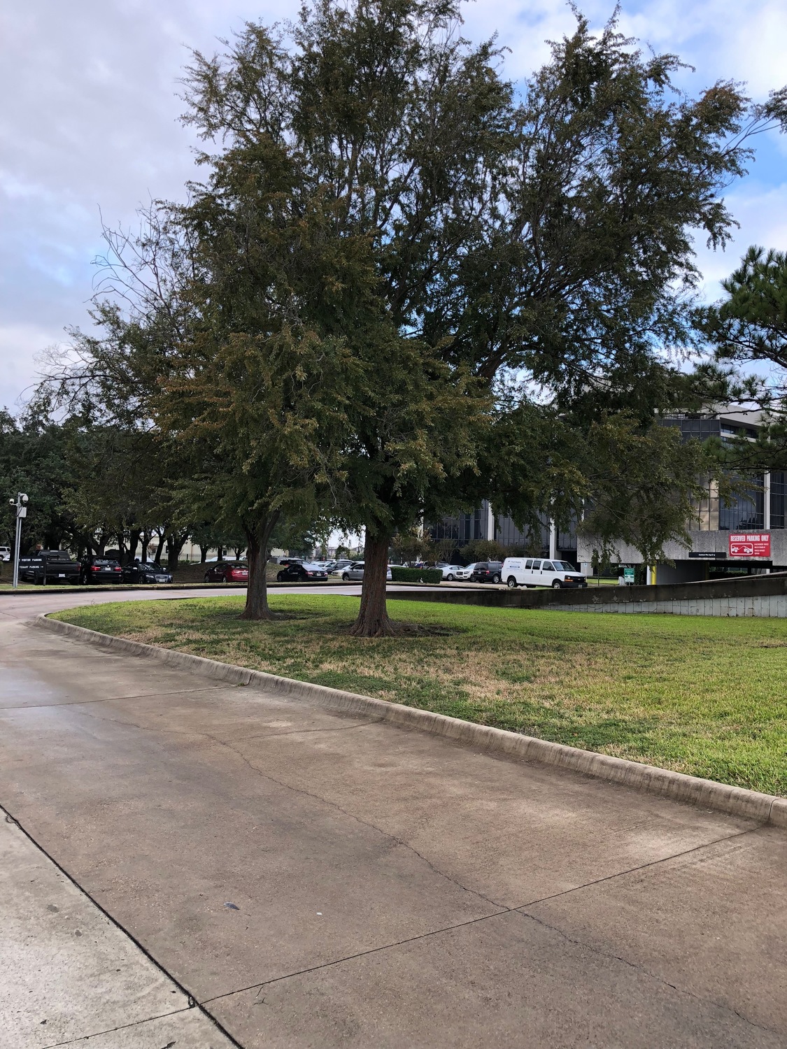 Whole Health PLLC, Psychiatrist, Houston, TX, 77036 Psychology Today