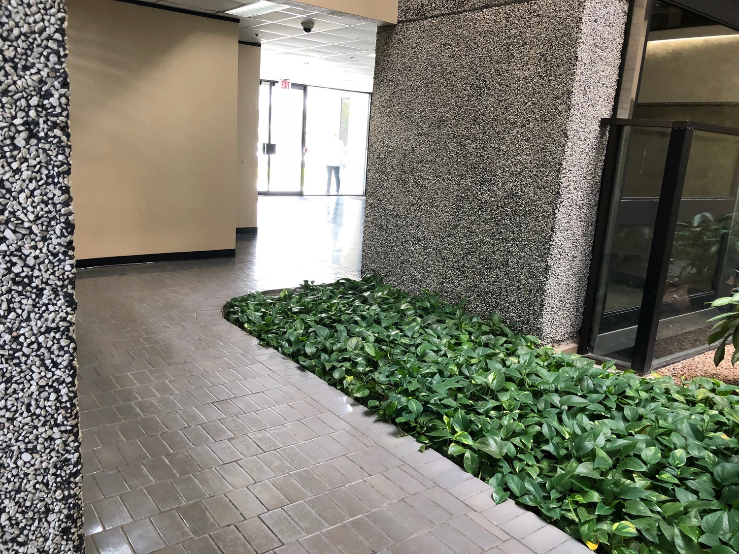 Whole Health PLLC, Psychiatrist, Houston, TX, 77036 Psychology Today