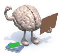 Gallery Photo of Orchard focuses on brain-based strategies to promote development, socialization, self-regulation, behavior, learning, attachment, and personal success