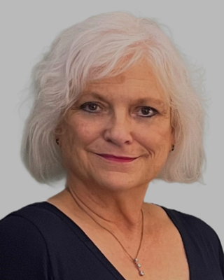 Photo of P Liza Nln, Licensed Professional Counselor, LPC