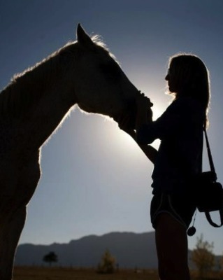 Rocky Mountain Equine Assisted Psychotherapy