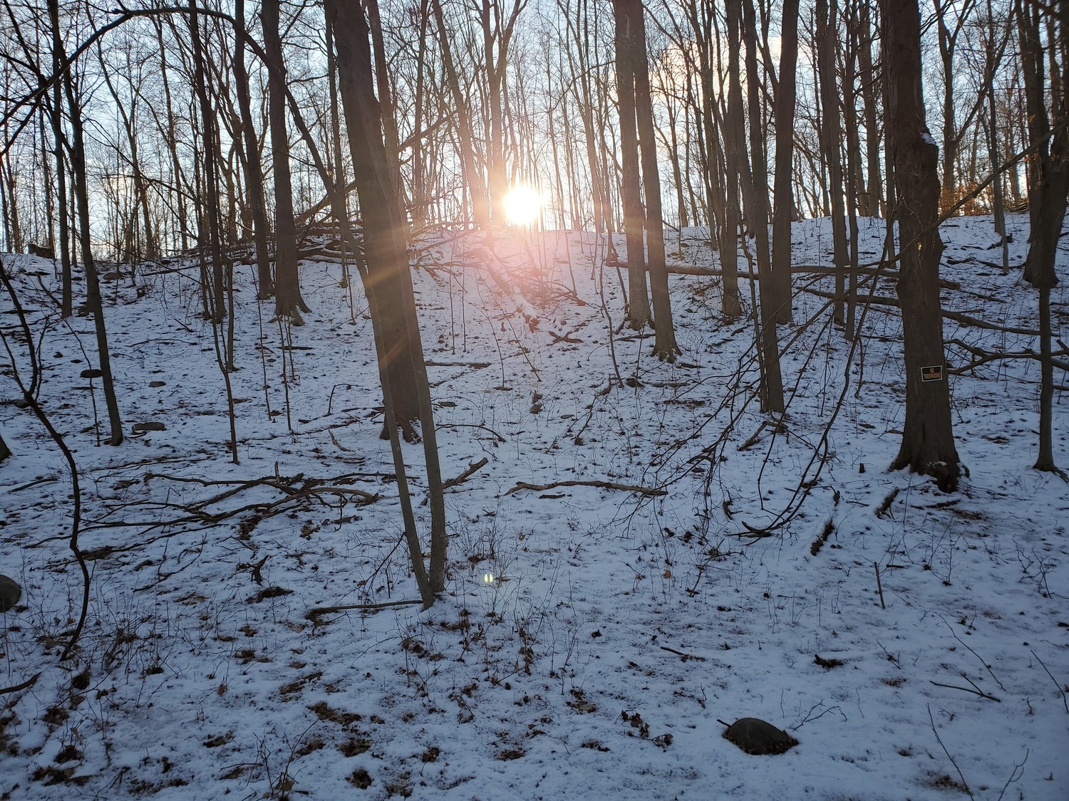 Phyllis Florian, Psychologist, Kalamazoo, MI, 49008 Psychology Today