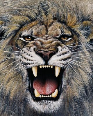 Photo of Vicki Coffman - Encouragers Counseling & Training Centers Inc., Marriage & Family Therapist, LMFT