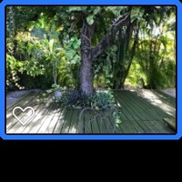 Photo gallery photo