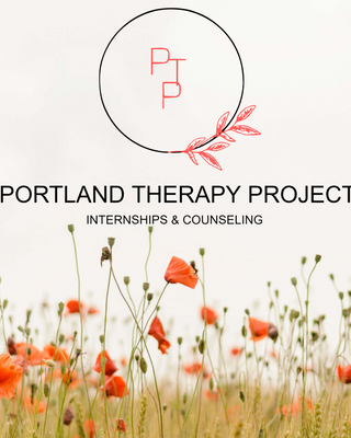 Photo of Sawyer Salameh - Portland Therapy Project, Licensed Professional Counselor, LPC