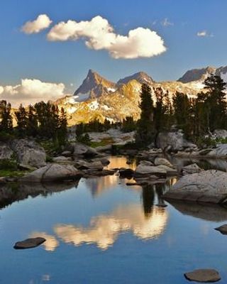 Photo of Terri Busch, Clinical Social Work/Therapist, LCSW