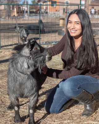 Photo of Linda Chassman Craddock - Animal Assisted Therapy Programs of Colorado, PhD, LMFT, CAAP, Marriage & Family Therapist