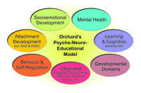 Gallery Photo of Our Psycho-Neuro-Educational Model focuses on the critical areas of the client's life experience ... and supports targeted and effective intervention.
